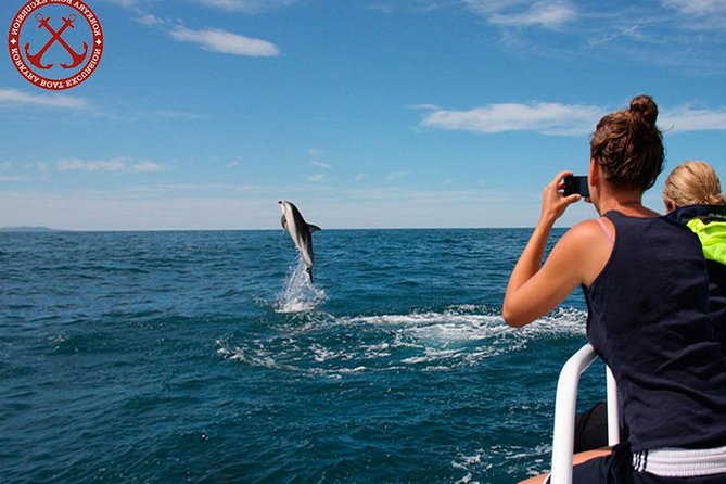 Dolphins Watching in the National Park Brijuni from Pula - Setting out from Pula at 5:30 pm