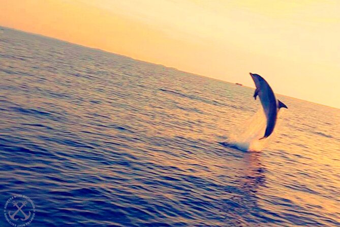 Dolphins Watching in the National Park Brijuni from Pula - Practical details that can shape your evening