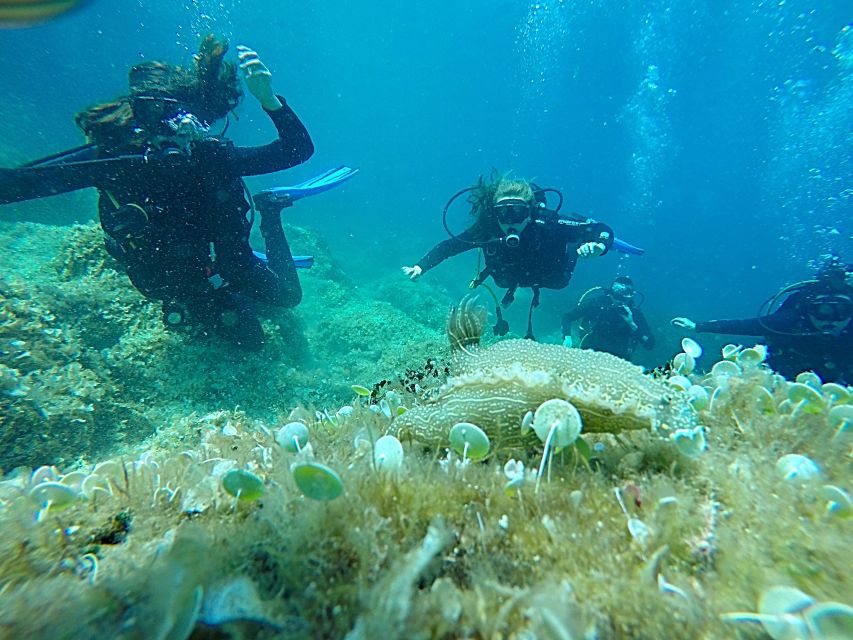 Dubrovnik: 1-Day Discover Scuba Diving Course - At a glance: what makes this course useful