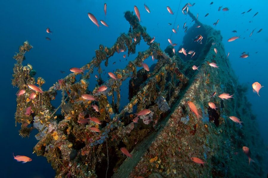 Dubrovnik: 1-Day Diving Package - Key points to know before booking