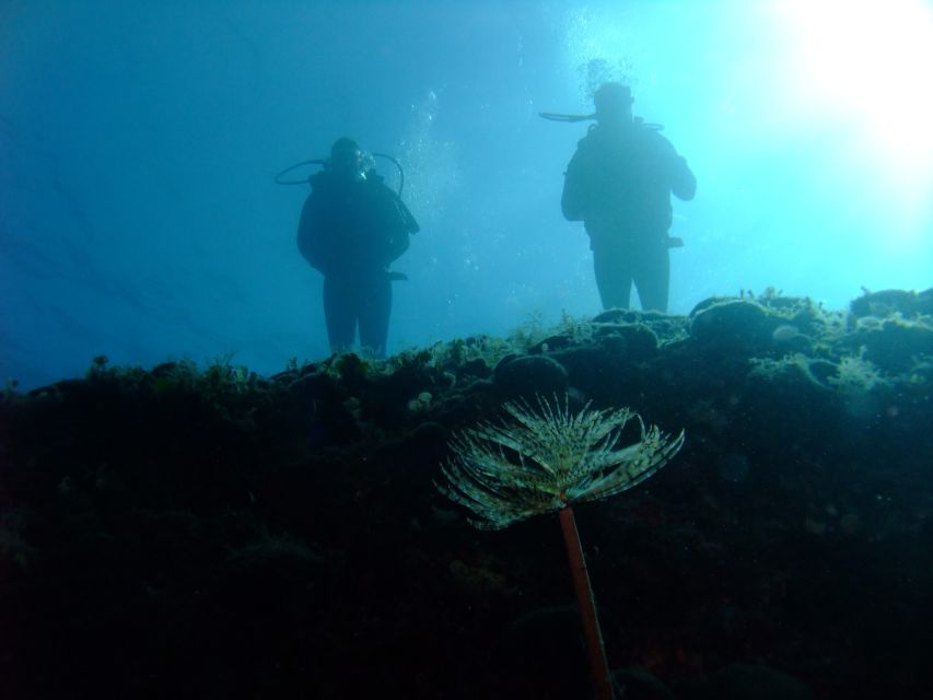 Dubrovnik: 1-Day Diving Package - Practical details that improve the day