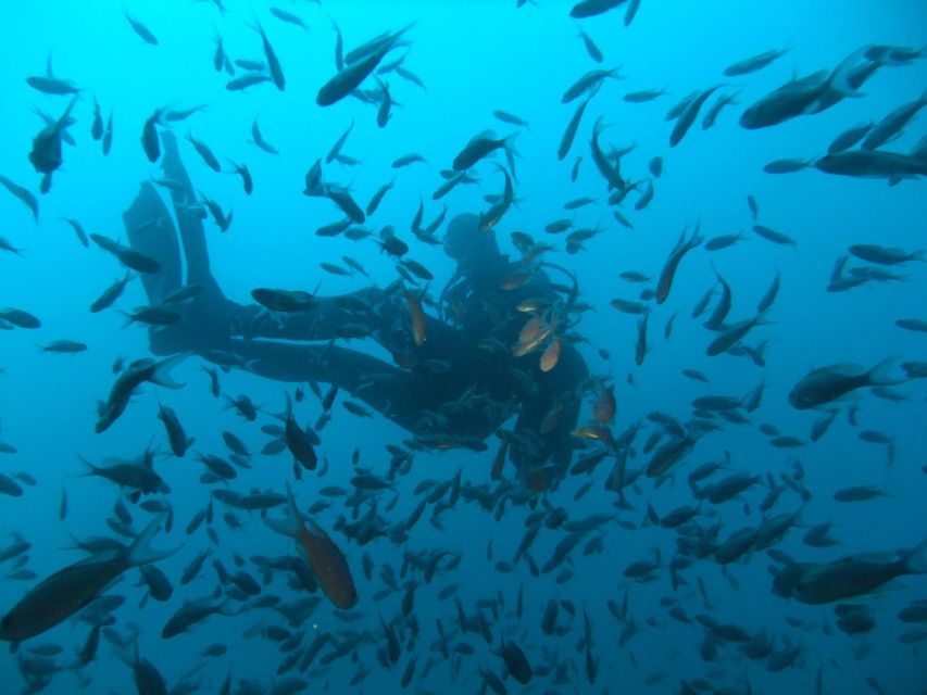 Dubrovnik: 1-Day Diving Package - Small groups make the instruction more useful