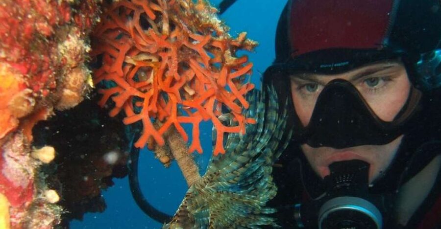 Dubrovnik: 1-Day Diving Package - What the possible sites offer