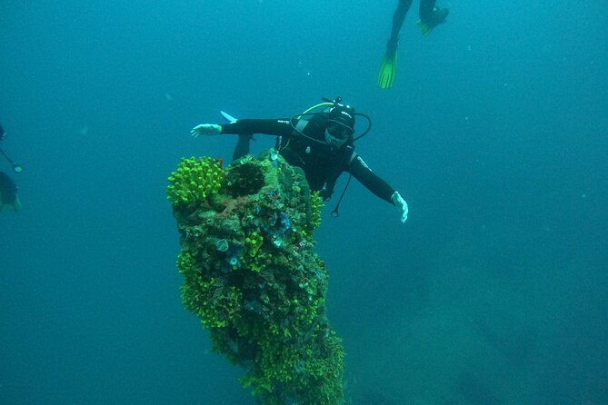 Dubrovnik 1 Dive for Certified Divers - Who will enjoy this most?