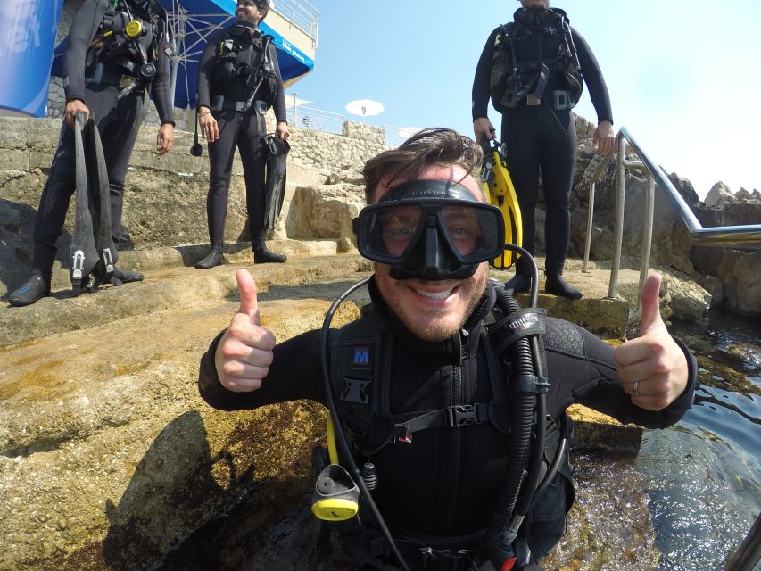 Dubrovnik 2-Hour Uncertified Divers Introductory Dive - What you may see at only 5 meters