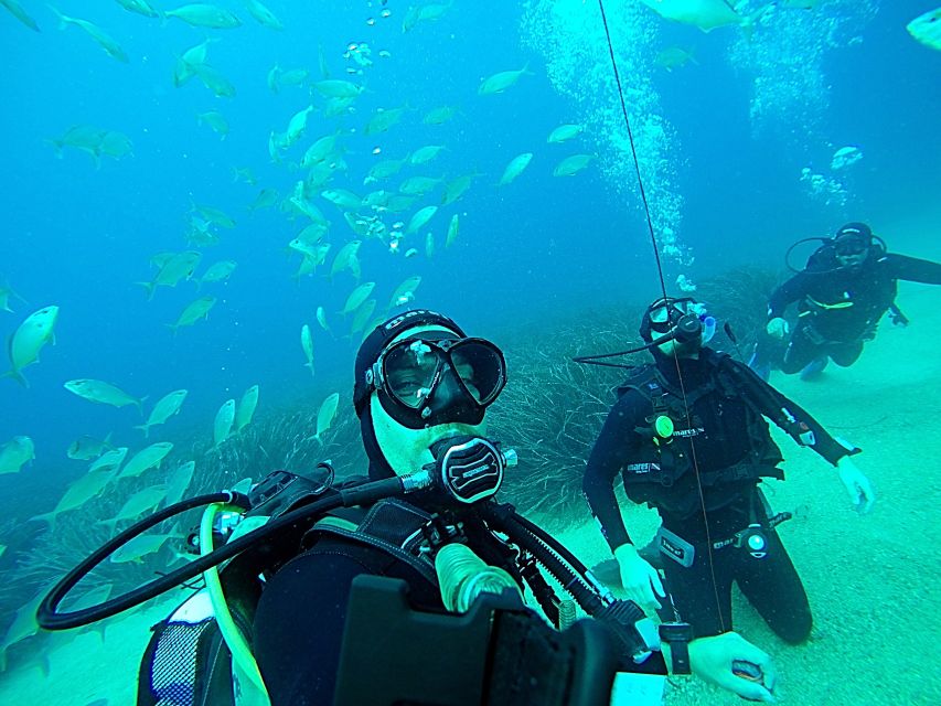 Dubrovnik 2-Hour Uncertified Divers Introductory Dive - Planning this around your Dubrovnik schedule