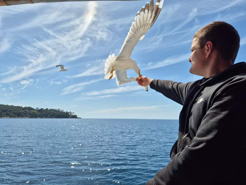 Dubrovnik: 3 Island Boat Tour with Lunch and Guide - Leaving Dubrovnik from the main ferry port