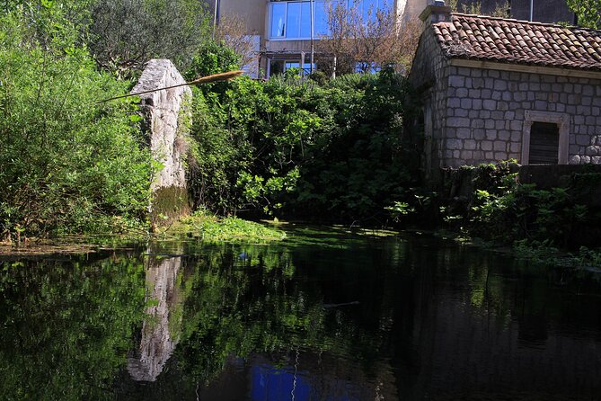 Dubrovnik: Best views Sightseeing Tour - Franjo Tudman Bridge is built for wide photographs