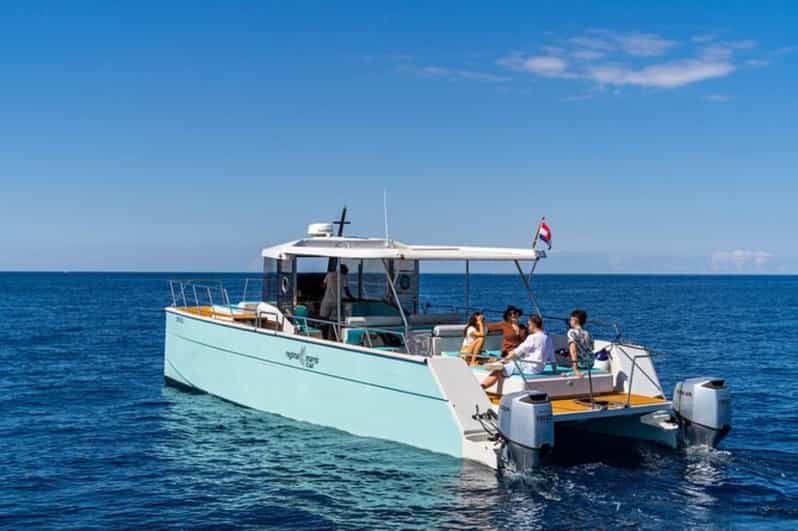 Dubrovnik: Blue Cave Catamaran Tour with Drinks and Snorkel - Timing, meeting details, and booking value