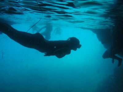 Dubrovnik: Blue Cave & Sunj Beach Boat Tour with Drinks