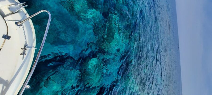 Dubrovnik: Blue Cave Tour by Speedboat - A fast island escape from Dubrovnik