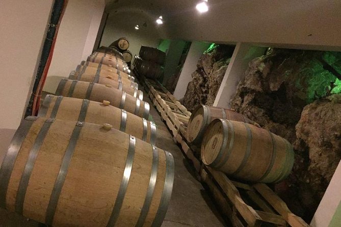 Dubrovnik Bosnia-Herzegovina Half-Day Wine Tour with Tastings - Why this trip is worth leaving Dubrovnik for