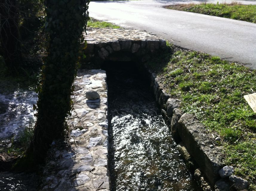 Dubrovnik: Cavtat and Konavle Half-Day Private Tour - The guide and driving experience