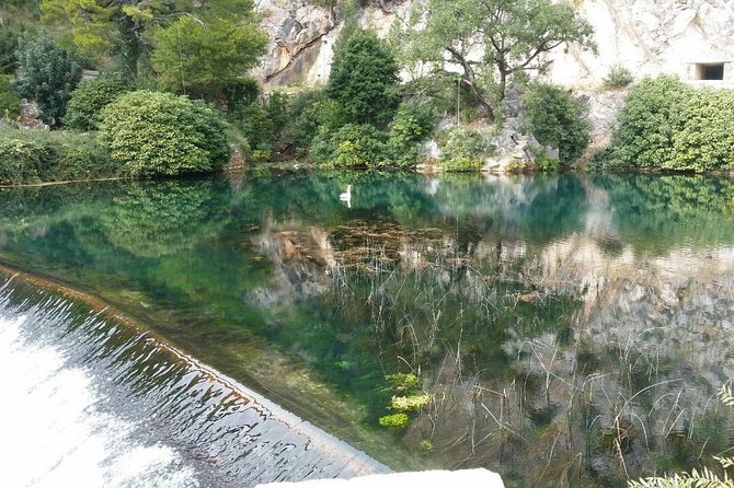 Dubrovnik City Tour: Panorama Drive & Sightseeing Walk - Cathedral, harbor, and the final square