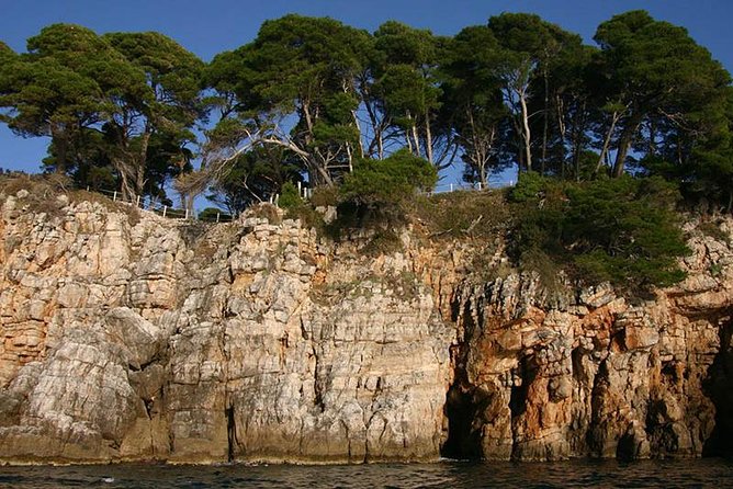 Dubrovnik Elafiti Islands Cruise with Lunch, Drinks and Pickup - A friendly crew and practical service