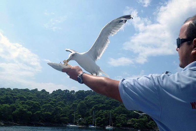Dubrovnik Elafiti Islands Cruise with Lunch, Drinks and Pickup - Is $71.35 good value?