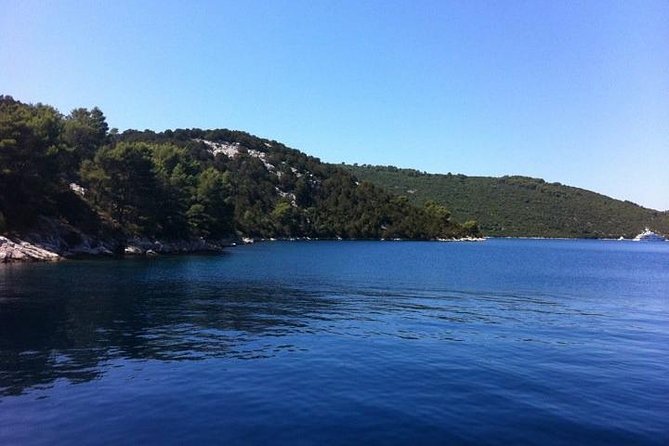 Dubrovnik Elafiti Islands Cruise with Lunch, Drinks and Pickup - Who should book this Elafiti Islands cruise?
