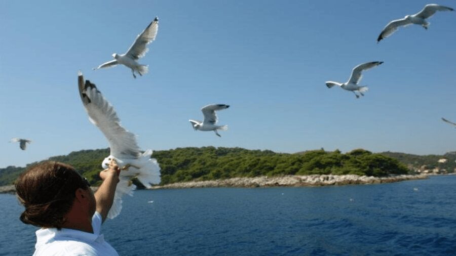 Dubrovnik: Elaphiti Islands Boat Cruise with Lunch & Drinks - The return cruise is part of the experience