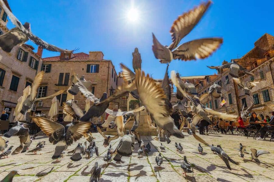 Dubrovnik for Kids: A Playful Family Walking Tour Experience - Following stories through the Old Town