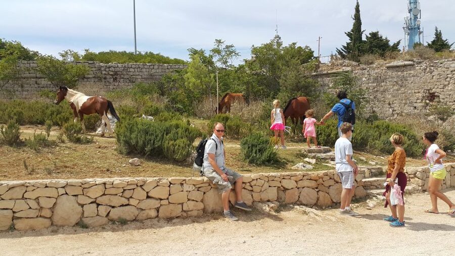 Dubrovnik: Game of Thrones Locations Driving Tour - Why Trsteno is worth the drive from Dubrovnik