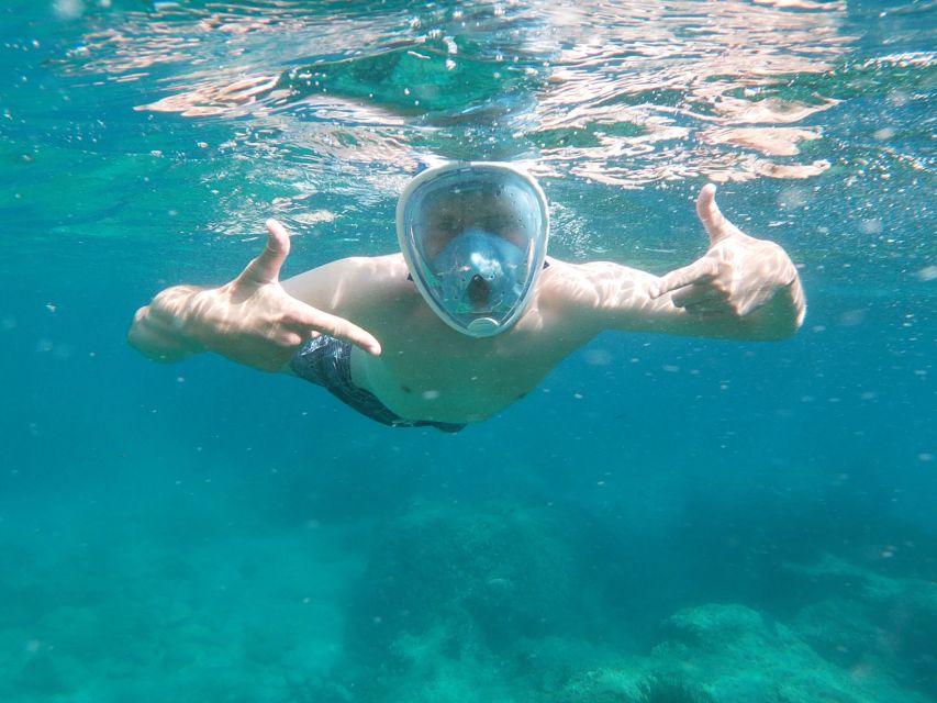 Dubrovnik: Half-Day Private Boat Trip to Elafiti Islands - A private start from Gruz Harbour