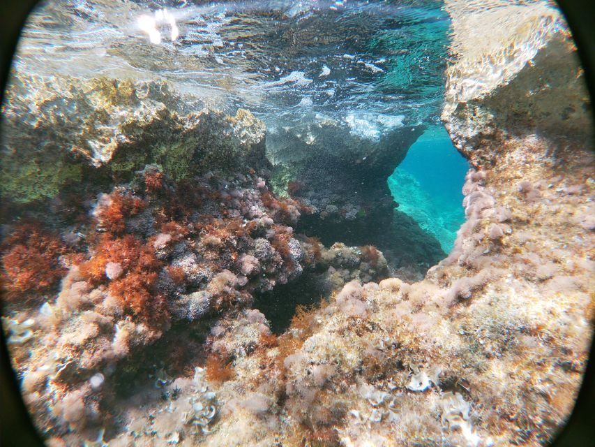 Dubrovnik: Half-Day Private Boat Trip to Elafiti Islands - Sunj Beach, Lopud’s sandy exception