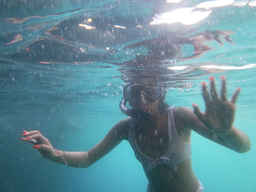 Dubrovnik: Half-Day Private Boat Trip to Elafiti Islands - What the private price really buys you