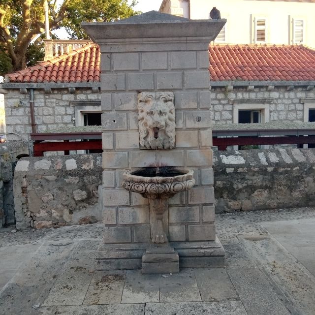 Dubrovnik: Historical Tour with Game of thrones details - How the guides shape the experience