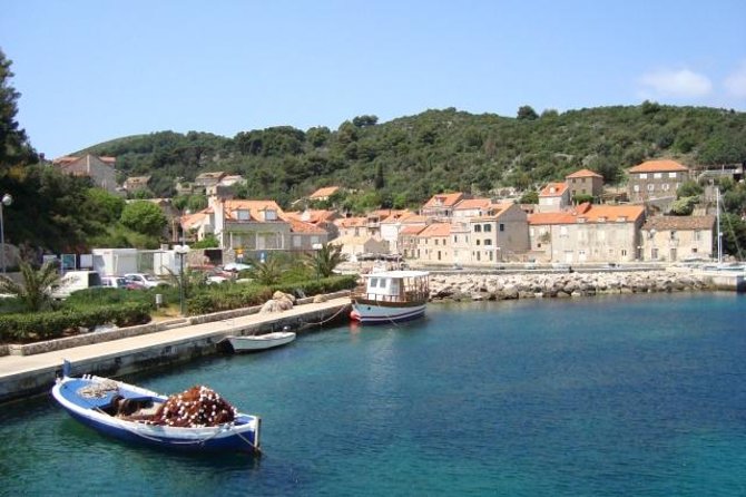 Dubrovnik Island-Hopping Cruise in the Elaphites with Lunch - Koločep: Citrus Groves and a Short First Walk