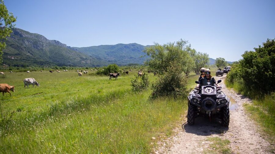 Dubrovnik: Kojan Koral ATV Quad Safari with transport - Who should book this ATV safari?