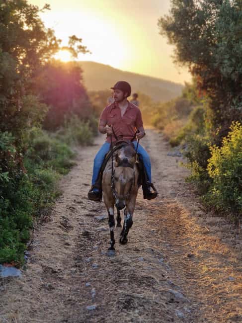 Dubrovnik Kojan Koral: Horseback Riding - From Dubrovnik to the Kojan Koral ranch