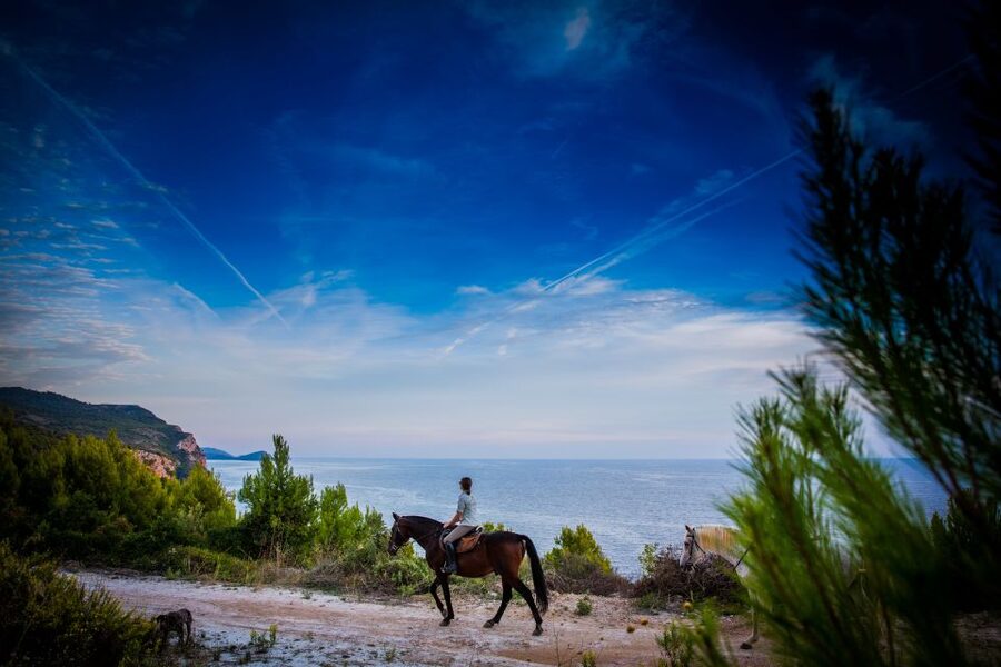 Dubrovnik Kojan Koral: Horseback Riding - Meeting your horse and getting ready