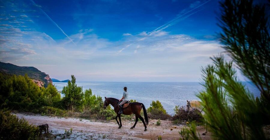 Dubrovnik Kojan Koral: Horseback Riding - Mountain views, sea views, and the rocky coast