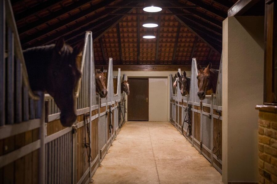 Dubrovnik Kojan Koral: Horseback Riding - The ranch snack and Croatian wine