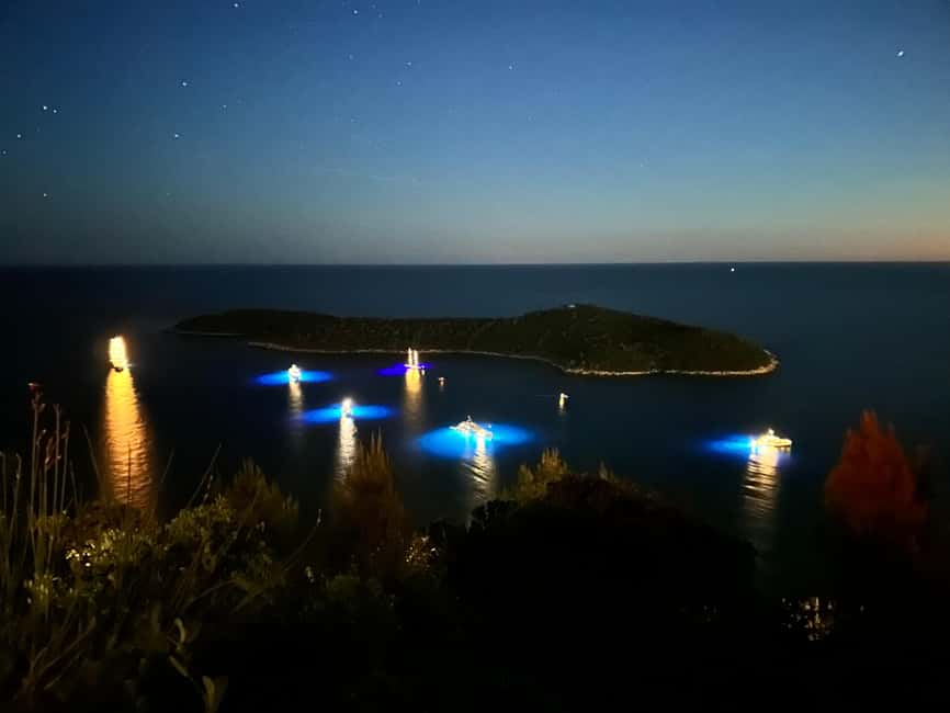 Dubrovnik Night Drive: Lights of the Adriatic - The Dubrovnik Bridge Stop and Its Reflections