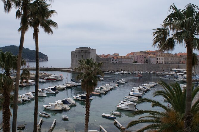 Dubrovnik Old City Private Tour - The Franciscan Monastery and its old pharmacy