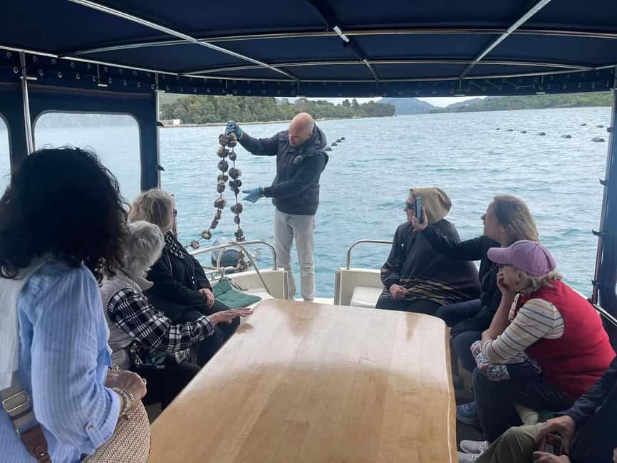 Dubrovnik: Oyster, Mussles, and Wine Tasting Tour in Ston - The drive from Dubrovnik to Ston