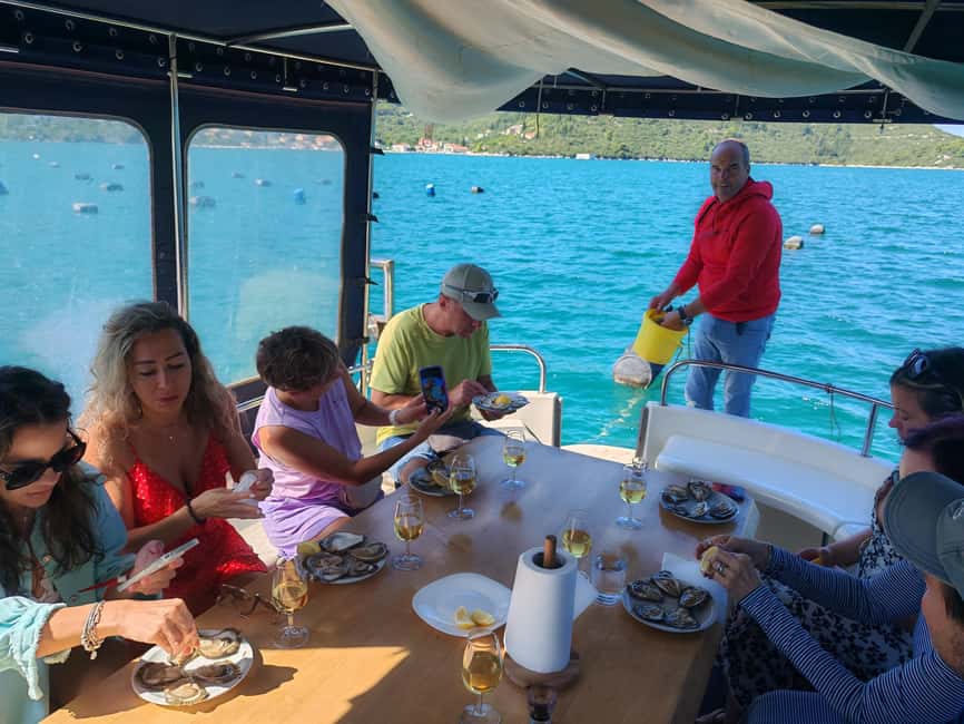 Dubrovnik: Oyster, Mussles, and Wine Tasting Tour in Ston - Who should book this Ston tour?