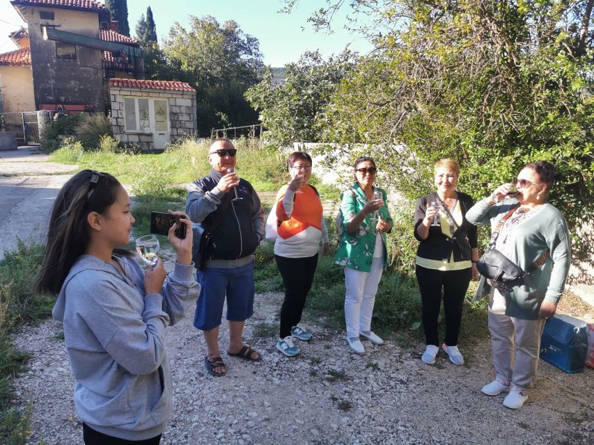 Dubrovnik: Panorama Tour with Free Time in the Old Town - Transport, pickup, and the practical setup