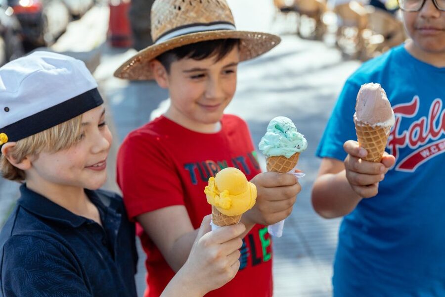 Dubrovnik: Private Family Friendly City Tour with Guide - Key points for families