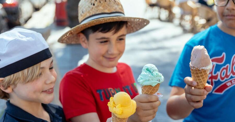 Dubrovnik: Private Family Friendly City Tour with Guide - Is $76 per person a fair price?