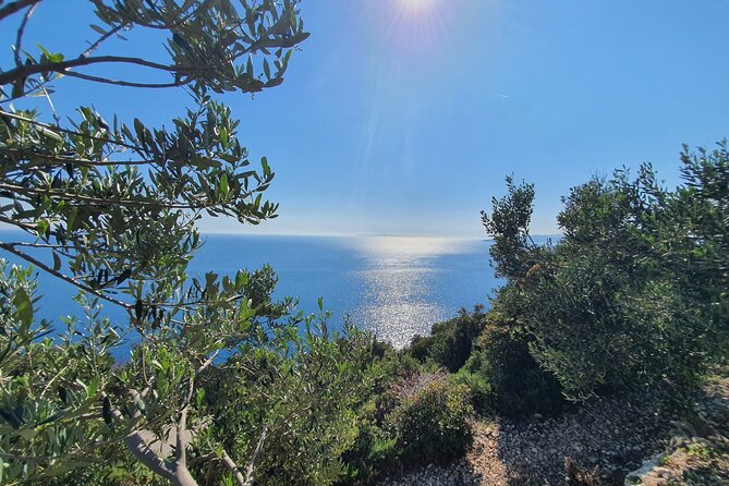 Dubrovnik Private Wine Tasting Tour to Peljesac Peninsula - Ston: walls, salt, oysters, and a sweet local specialty