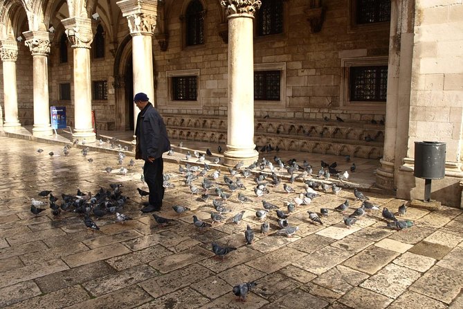 Dubrovnik's Old Town Walking Tour - Who should book this Dubrovnik walk?