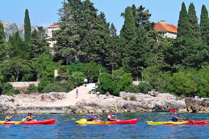 Dubrovnik: Sea Kayaking & Snorkeling Tour - What to wear and bring