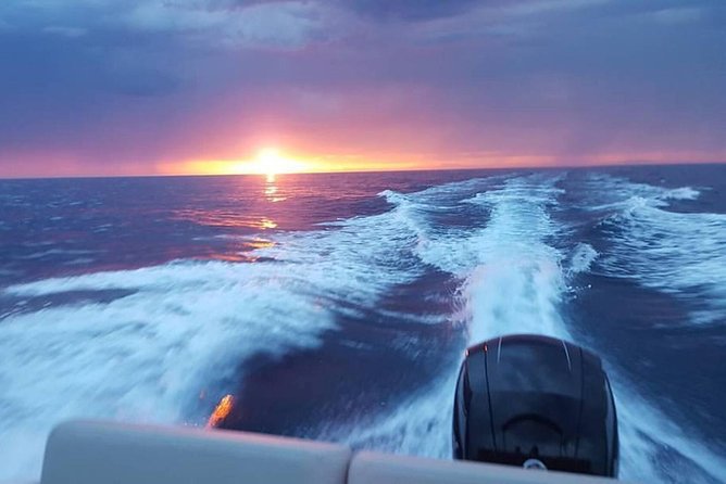 Dubrovnik Speedboat Quicksilver 675 Private Tours - What the skipper adds to the day