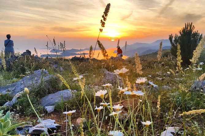 Dubrovnik Sunset Tour with Wine Tasting - The Ombla River spring adds an unexpected local story