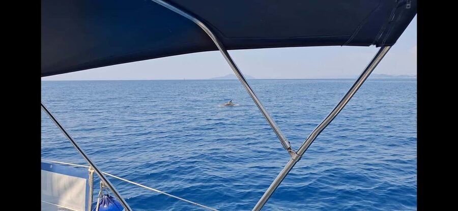 Dubrovnik yacht cruise-Elafity islands & Blue cave - Swimming inside the Blue Cave near Koločep