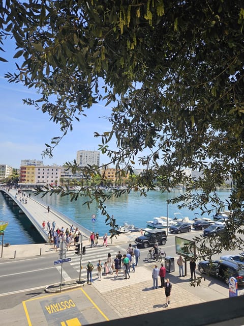 Eco tuk tuk Highlights of Zadar - Key points to know before you book