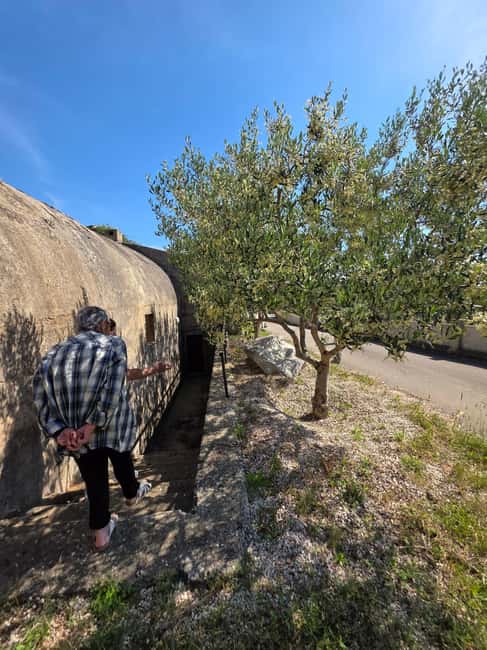 Eco tuk tuk Highlights of Zadar - Understanding the 45-minute schedule