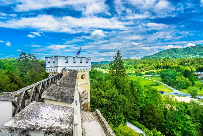 Fairytale Castle & Wine Tasting & Lunch - Guides can shape the whole experience